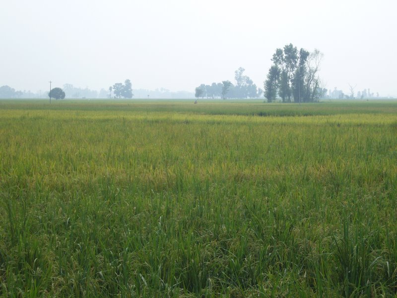Travel - Nepal - Sunauli Gorakhpur